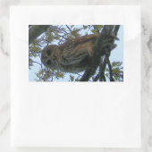 Stickers Rectangle Chouette Barrée (Sac)