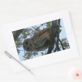 Stickers Rectangle Chouette Barrée (Enveloppe)