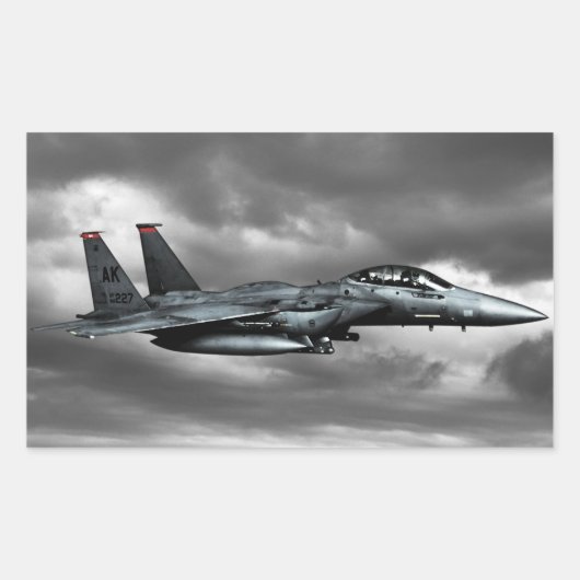 Stickers Rectangle d'aigle F-15E (Devant)
