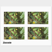 Stickers Rectangle de rangement de concombres (Feuille)