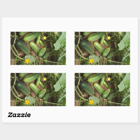 Stickers Rectangle de rangement de concombres (Feuille)