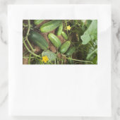 Stickers Rectangle de rangement de concombres (Sac)