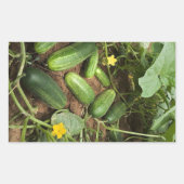 Stickers Rectangle de rangement de concombres (Devant)