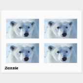 Stickers Rectangle d'ours polaire (Feuille)