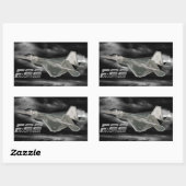 Stickers rectangle F-22 RAPTOR (Feuille)