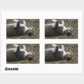 Stickers Rectangle Kitty supérieur (Feuille)
