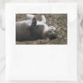 Stickers Rectangle Kitty supérieur (Sac)