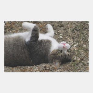 Stickers Rectangle Kitty supérieur