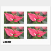 Stickers - Red Anthurium Twins (Feuille)