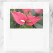 Stickers - Red Anthurium Twins (Sac)