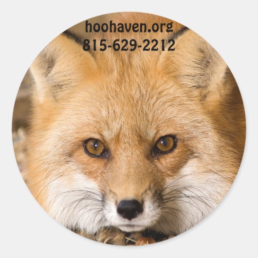 Stickers Red Fox (Devant)