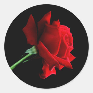 Stickers Red Rose