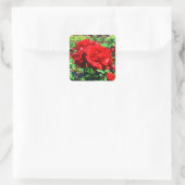 Stickers Red Rose #1 (Sac)