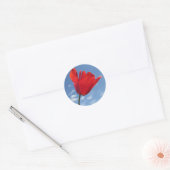 Stickers - Red Tulip Blue Sky (Enveloppe)