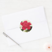 Stickers Redoute Red Camellia Botanique (Enveloppe)