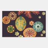 Stickers Remix d'écureuils de mer (Devant)