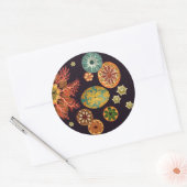 Stickers Remix d'écureuils de mer (Enveloppe)