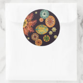 Stickers Remix d'écureuils de mer (Sac)