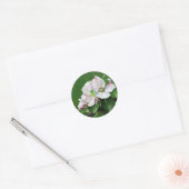 Stickers Ressort Pommier en fleurs rustiques (Enveloppe)