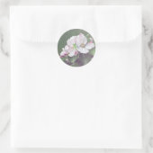 Stickers Ressort Rustique En Fleurs D'Pommes (Sac)