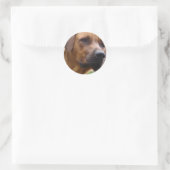 Stickers Rhodesian Ridgeback (Sac)