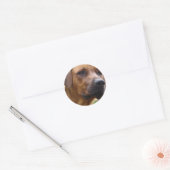 Stickers Rhodesian Ridgeback (Enveloppe)