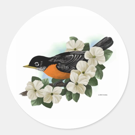 Stickers Robin (Devant)