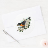 Stickers Robin (Enveloppe)