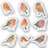 Stickers Robin (Devant)