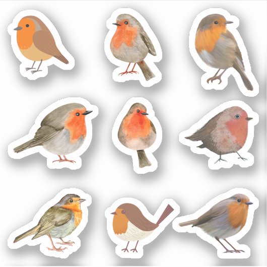 Stickers Robin (Devant)
