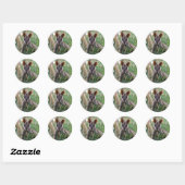 Stickers Rock Wallaby (Feuille)