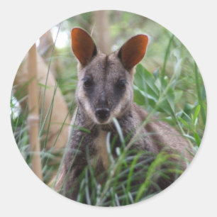 Stickers Rock Wallaby