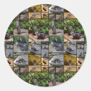 Stickers Rond Collage Photo Otter.
