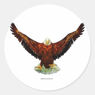 Stickers ronds d'aigle Majestic