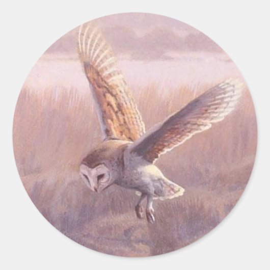 Stickers ronds de Barn Owl (Devant)