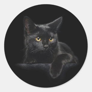 Stickers ronds de chats noirs
