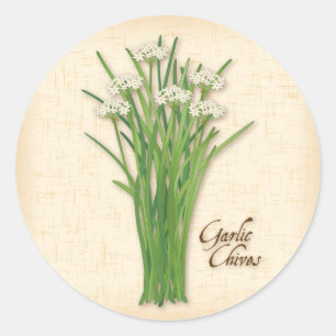 Stickers ronds de ciboulette d'ail