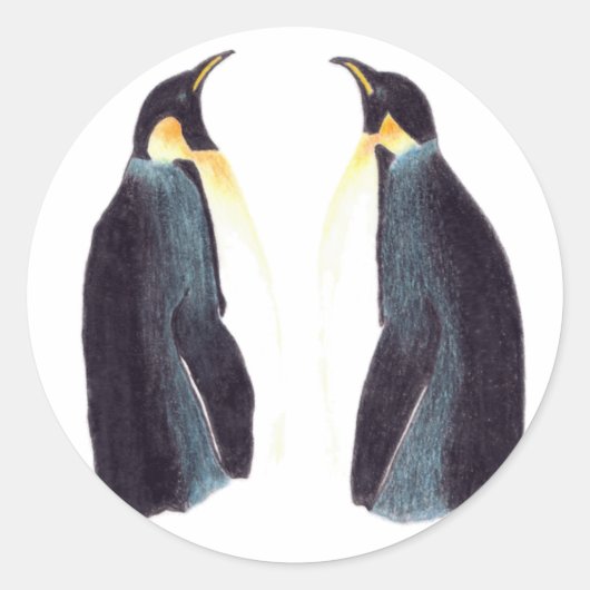 Stickers ronds Empereur Penguins (Devant)