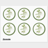 Stickers ronds FRAIS OREGANO (+texte) Vert (Feuille)