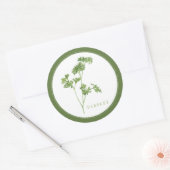 Stickers ronds FRAIS PARSLEY (+texte) Vert (Enveloppe)