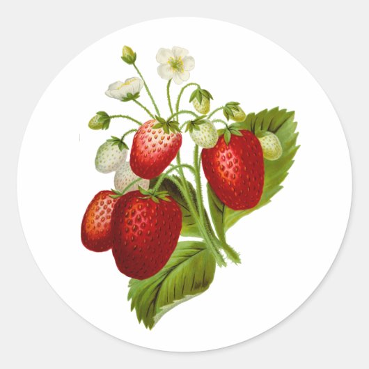 Stickers ronds fraises Seaux fraises (Devant)