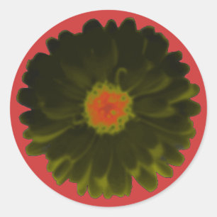 Stickers ronds Marigold noirs et rouges