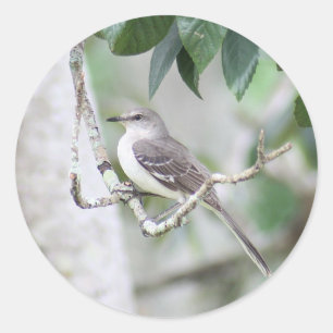 Stickers ronds Mockingbird