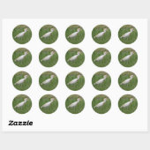 Stickers ronds Oiseaux de bovins (Feuille)