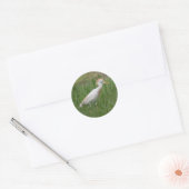 Stickers ronds Oiseaux de bovins (Enveloppe)