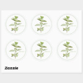 Stickers ronds OREGANO FRAIS (Feuille)