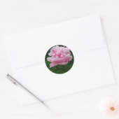 Stickers ronds Peony rose (Enveloppe)