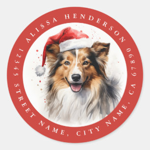 Stickers ronds Shetland Sheepdog