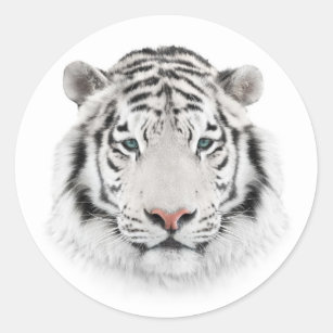 Stickers ronds Tiger Blanc