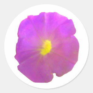Stickers ronds violets pétuniens